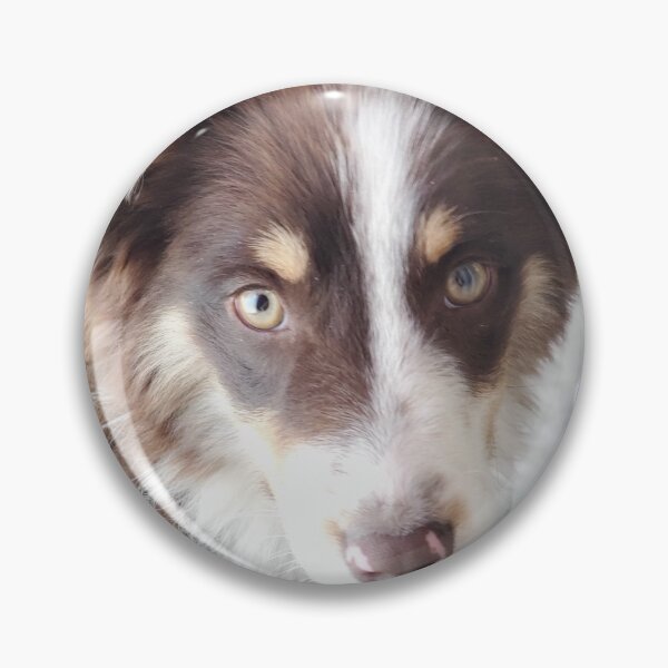 Artikelvorschau, Mini Aussie Welpe entworfen und verkauft von GKDigital.