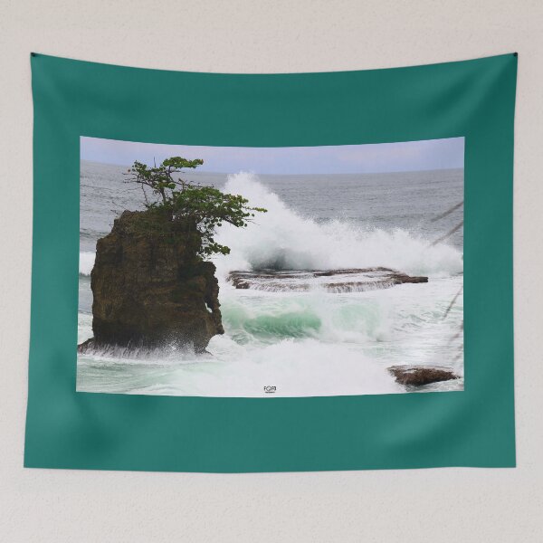 Item preview, Manzanillo beach designed and sold by CostaRicaNature.