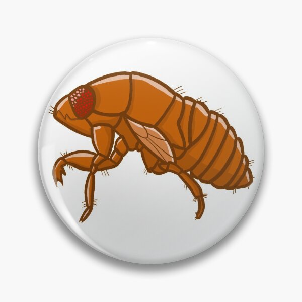 Item preview, Cicada Husk designed and sold by TwoPintsArts.