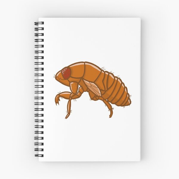 Item preview, Cicada Husk designed and sold by TwoPintsArts.