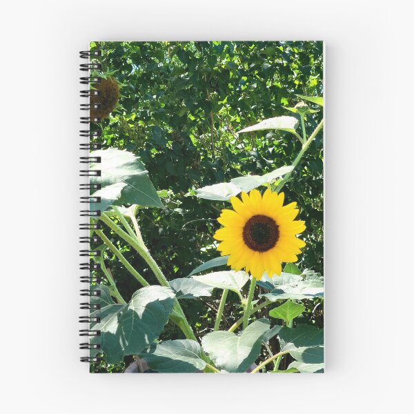 Item preview, Sunflowers designed and sold by Djjin66.