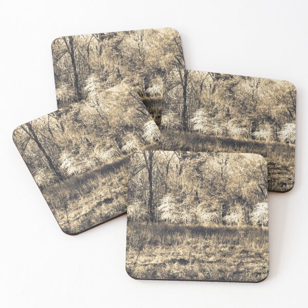 Item preview, Donnelly Preserve Back Lit Trees designed and sold by nbrandsberg.