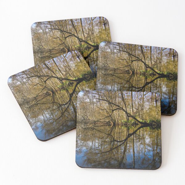 Item preview, Santee River Runs Through it designed and sold by nbrandsberg.