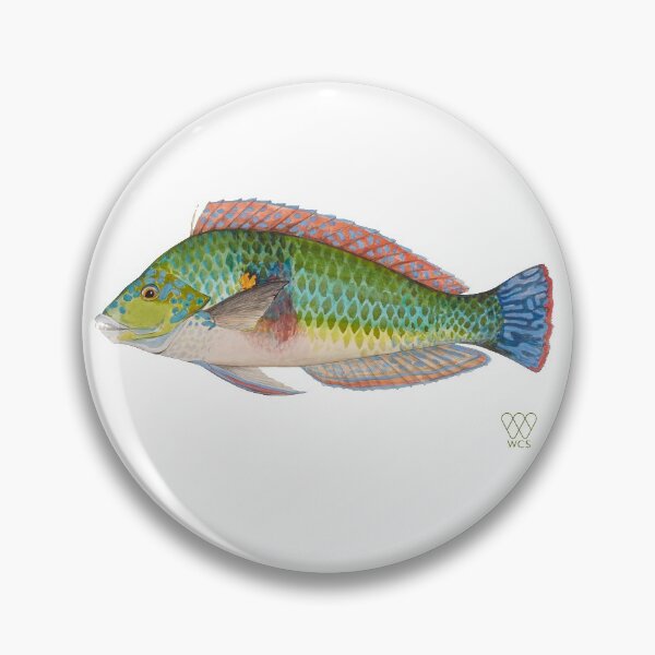Item preview, Green Parrot Fish designed and sold by WCS-Archives.