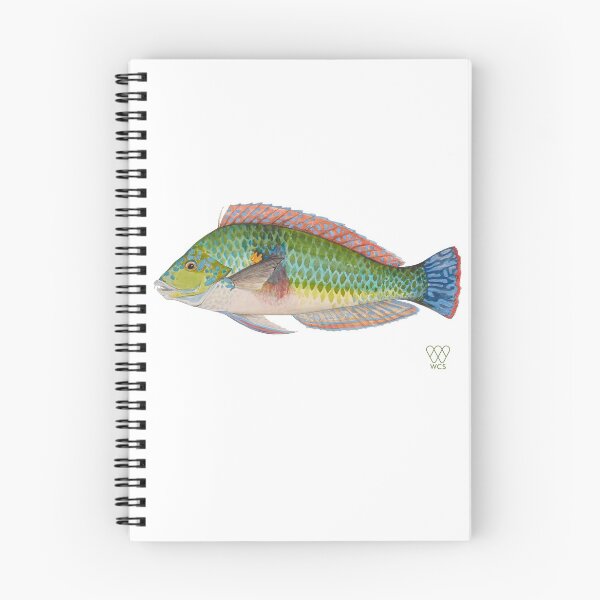 Item preview, Green Parrot Fish designed and sold by WCS-Archives.