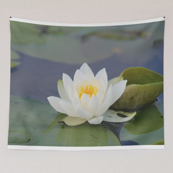 Item preview, Long Pond Water Lily designed and sold by JoanneKenney.