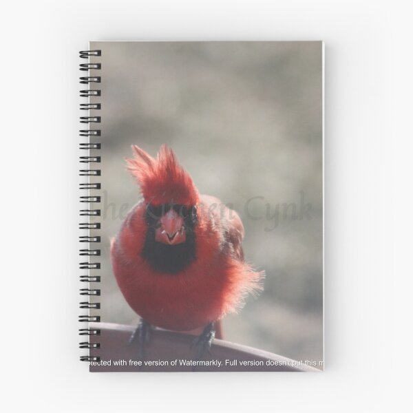 Item preview, Gentleman Cardinal designed and sold by TheKitchenCynk.