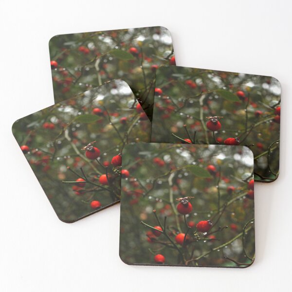 Item preview, Red Rosehip designed and sold by Asaha17.