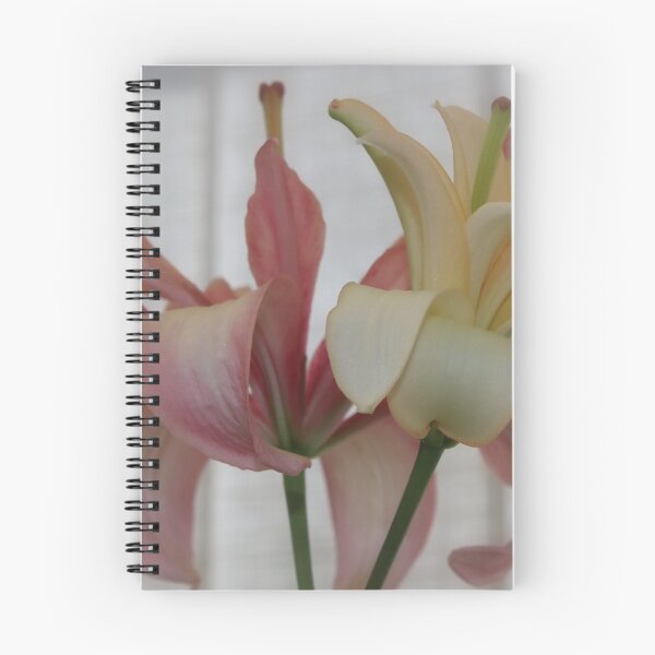 Item preview, Bi-Coloured Lily designed and sold by AnnDixon.