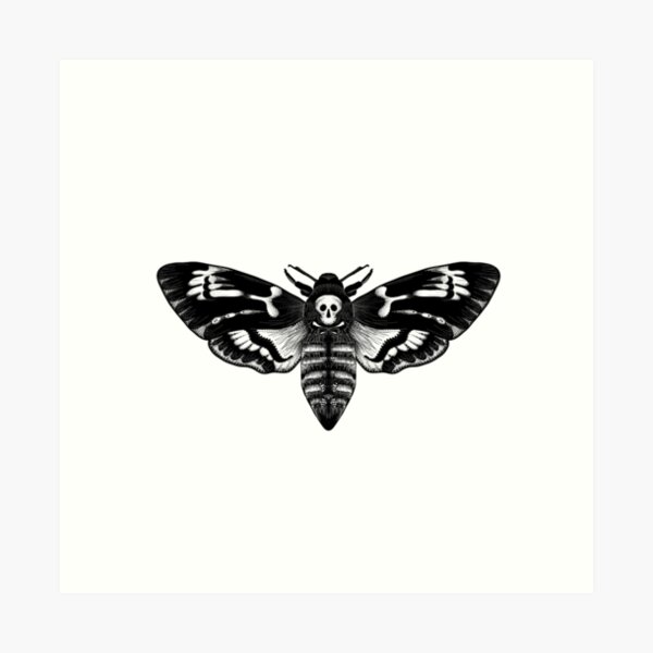 25 Simple Moth Tattoos