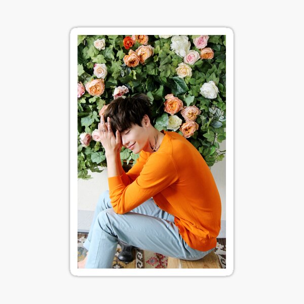 Lee Jong Suk phone case #2 (white border) Sticker