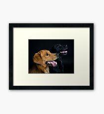 Retrievers Framed Print