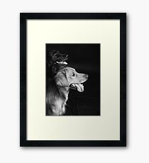 Retrievers Framed Print