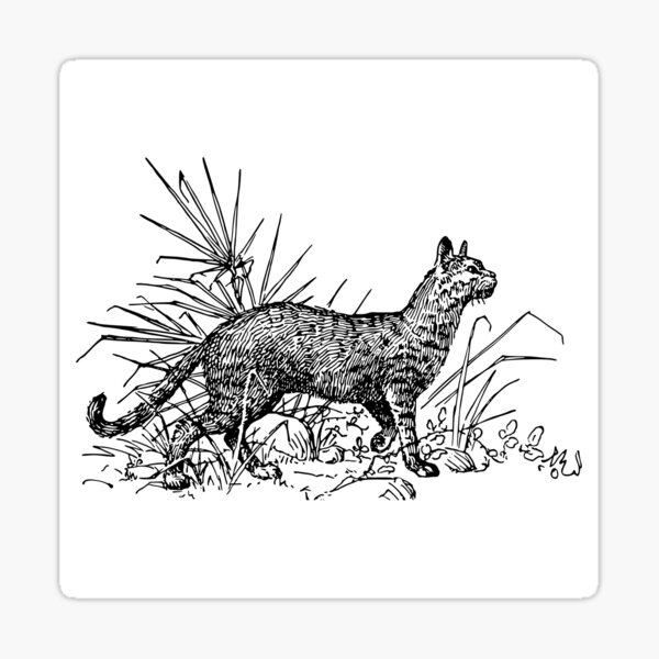 Perfect for cat Lovers cat t-shirt design Sticker