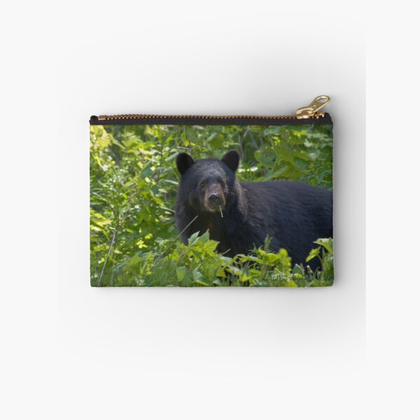 Item preview, Smokey Bear designed and sold by Dave Adams.