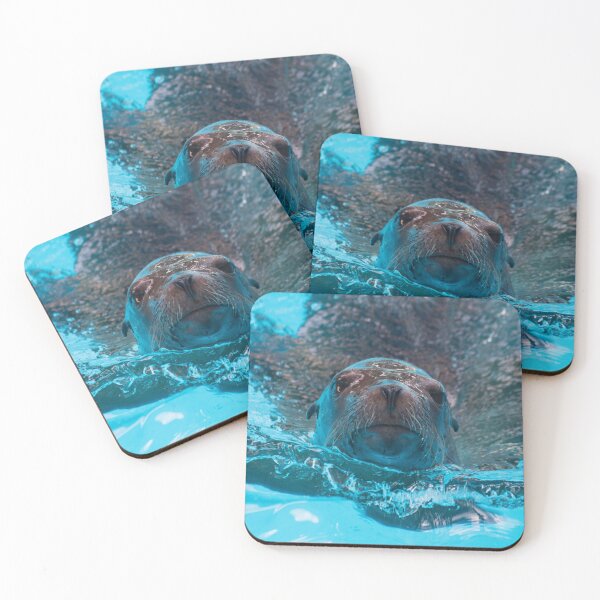 Item preview, Sea Lion Love designed and sold by Jacquelie.
