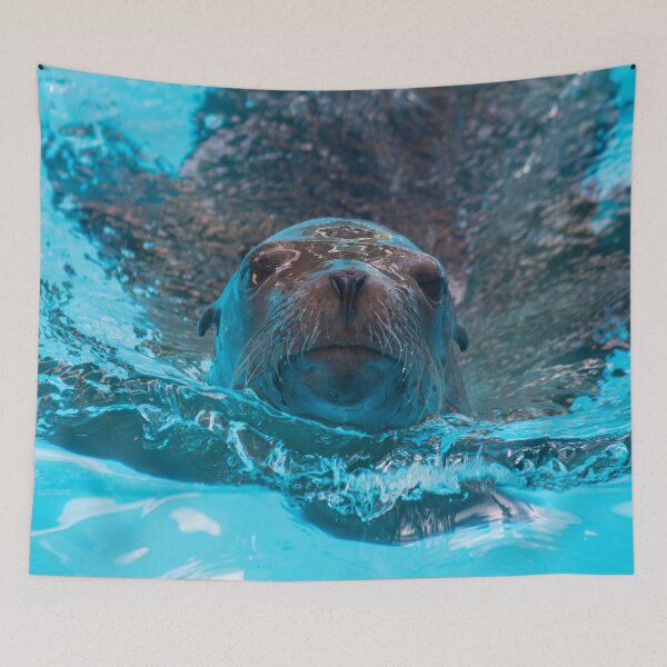Item preview, Sea Lion Love designed and sold by Jacquelie.