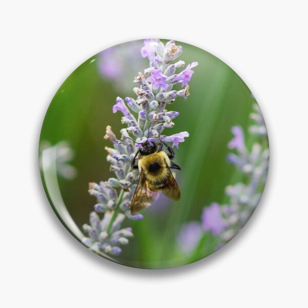 Item preview, Busy Bee designed and sold by NewFoundAli.