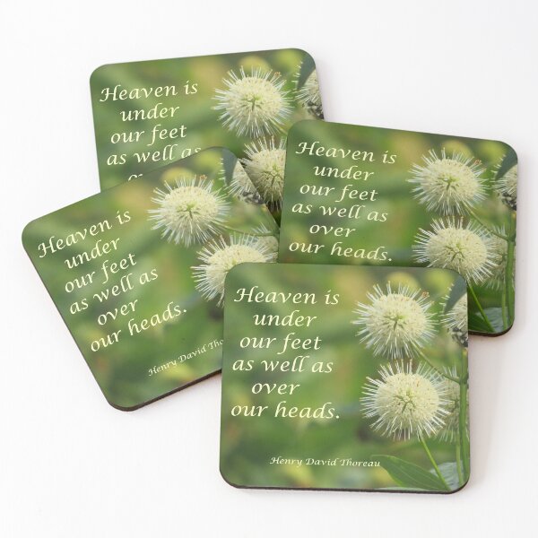 Item preview, Buttonbush 3 designed and sold by JoanneKenney.