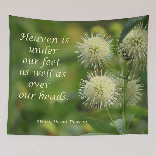 Item preview, Buttonbush 3 designed and sold by JoanneKenney.