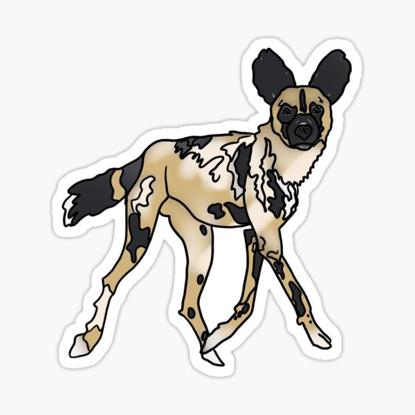 African Painted Dog - Cartoon African Painted Dog - Cartoon