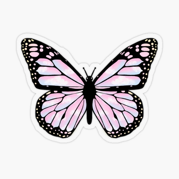 Stickers muraux flowers & butterflies Couleur coloris pastel