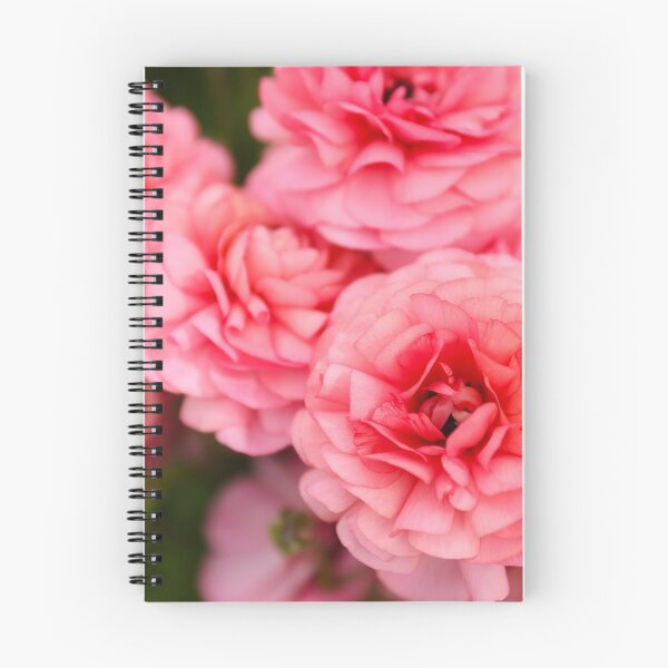 Item preview, Pink Ranunculus Flowers designed and sold by ppddesigns.