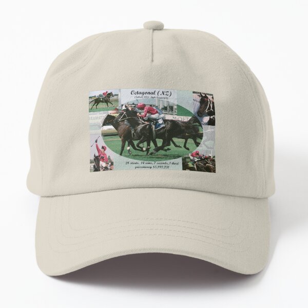 Octagonal career tribute Dad Hat