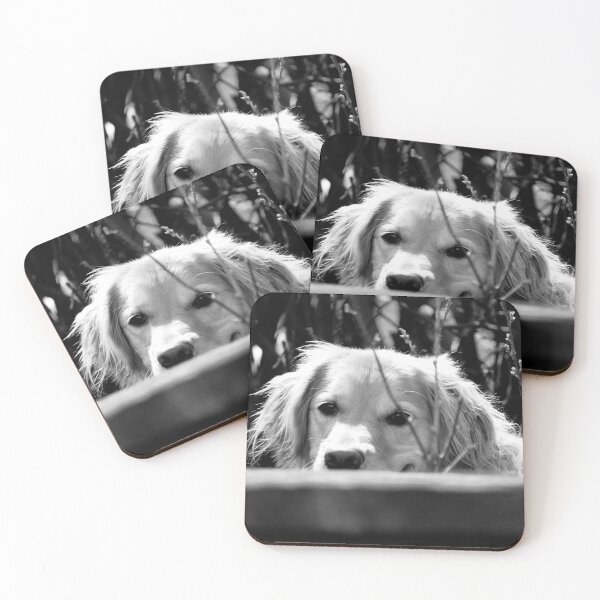 Item preview, Looking designed and sold by Aquafyre.