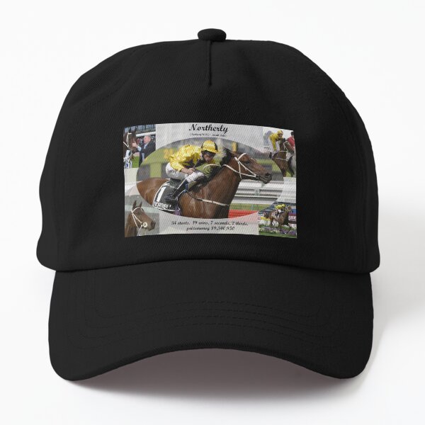 Northerly career tribute Dad Hat