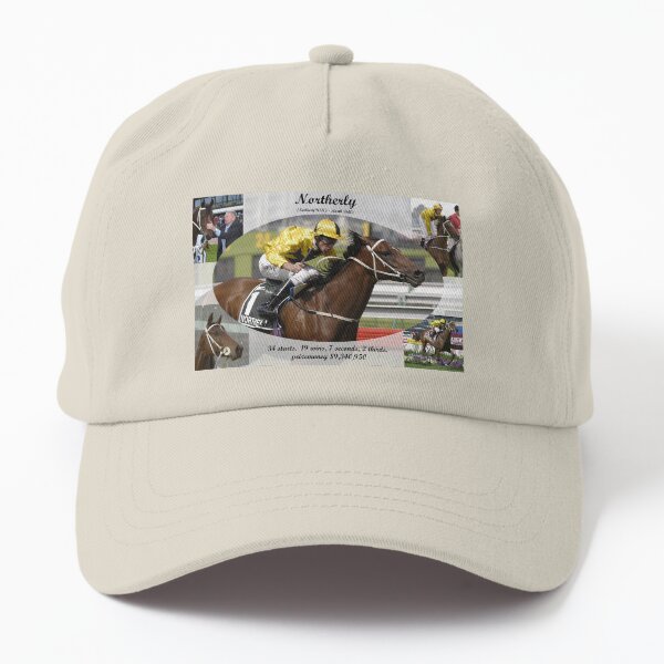 Northerly career tribute Dad Hat