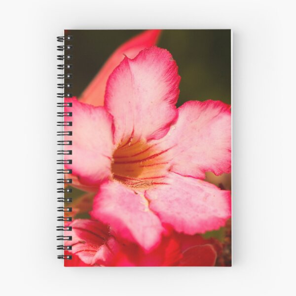 Item preview, Pink Desert Rose designed and sold by ppddesigns.