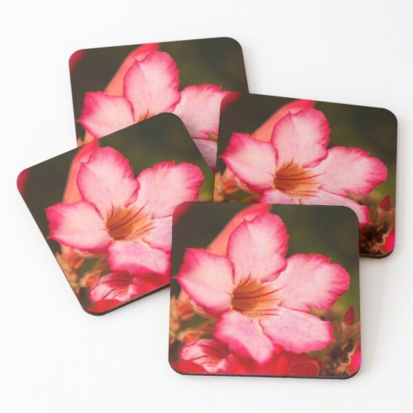 Item preview, Pink Desert Rose designed and sold by ppddesigns.