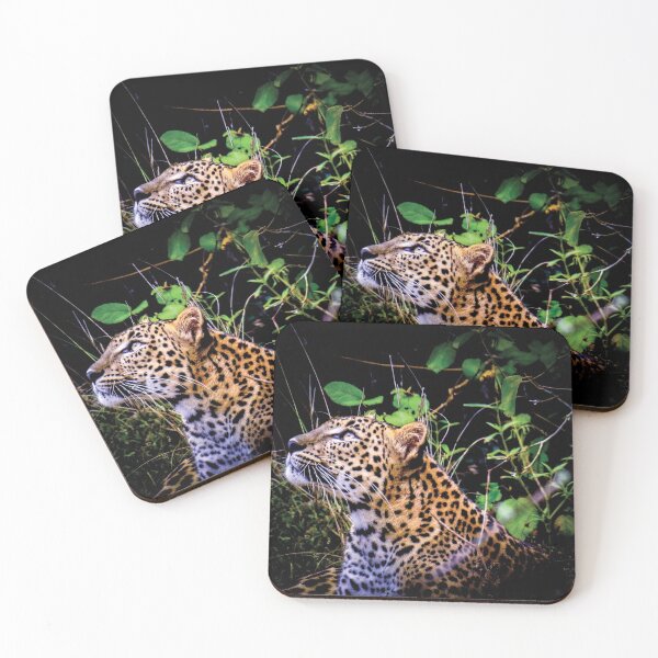 Item preview, The gazing Sri Lankan Leopard designed and sold by Maduka Karunatilaka.