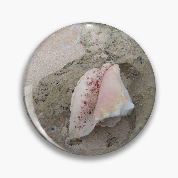 Artikelvorschau, Long Island Baha Spotty Pink Conch entworfen und verkauft von SaSaBoutique.