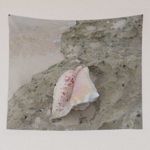Item preview, Long Island Baha Spotty Pink Conch designed and sold by SaSaBoutique.
