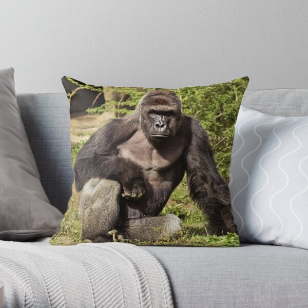 4th Birthday Gorilla Design 4th Birthday Monkey 4 Year Old Gorilla Throw Pillow Multicolor 16x16