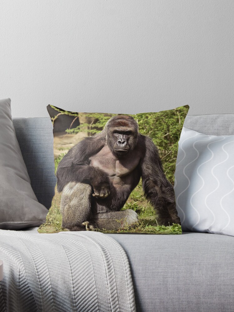 Harambe poster wall art home decor photo print 24x24/" inches