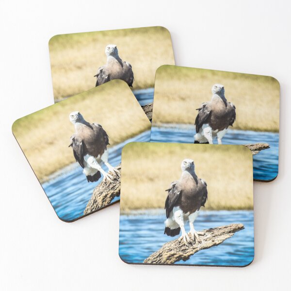 Item preview, Sri Lankan fishing eagle designed and sold by Maduka Karunatilaka.