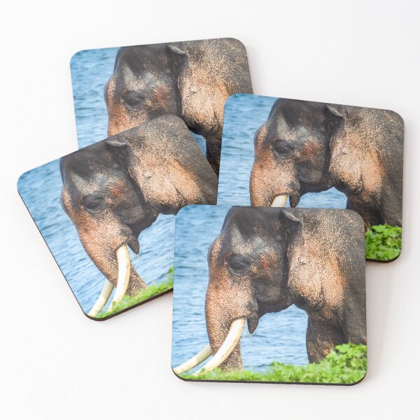 Item preview, "Atha" in the wild (Sri Lanka Tusker)  designed and sold by Maduka Karunatilaka.