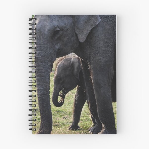 Item preview, Aliya & Ali patiya (Elephant and calf) designed and sold by Maduka Karunatilaka.