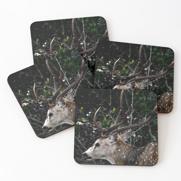 Item preview, "Ghona" - wild Sambar deer in Sri Lanka designed and sold by Maduka Karunatilaka.