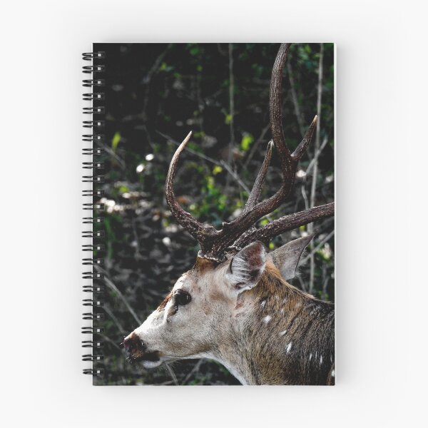 Item preview, "Ghona" - wild Sambar deer in Sri Lanka designed and sold by Maduka Karunatilaka.