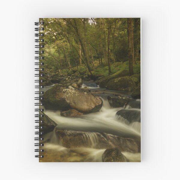 Item preview, River Plym, Dewerstone woods designed and sold by Guy  Berresford.