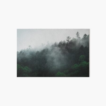 Cook Forest National Park Art Board Print