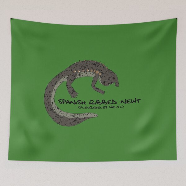 Item preview, Spanish Ribbed Newt designed and sold by PoonDoodle.
