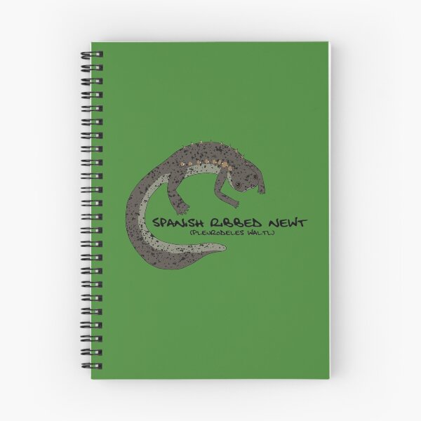 Item preview, Spanish Ribbed Newt designed and sold by PoonDoodle.