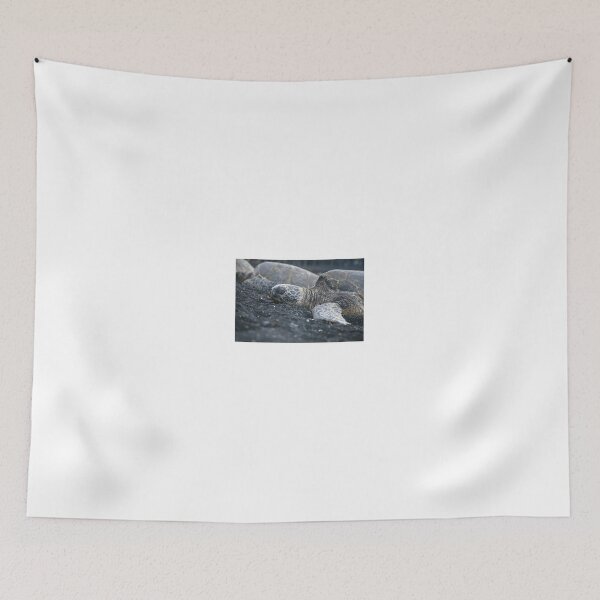 Item preview, Endangered Hawaiian Turtle designed and sold by Captures Of Creation.
