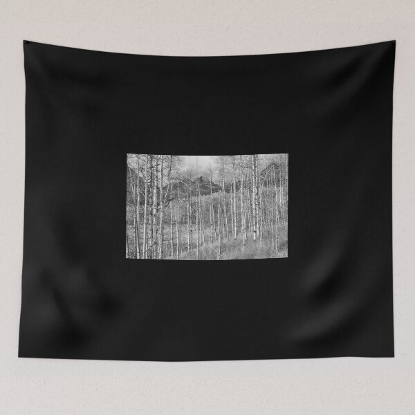 Item preview, Aspen Ambience Monochrome designed and sold by Eric Glaser.