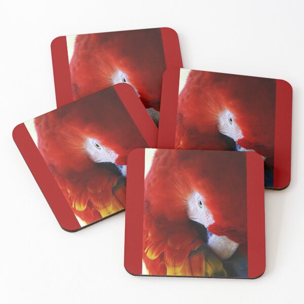 Item preview, Scarlet Macaw  designed and sold by CostaRicaNature.